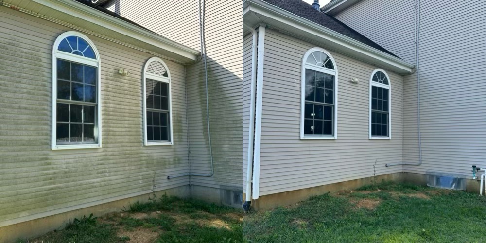 Algae-streaked siding before and after a soft wash