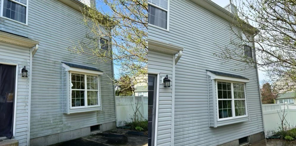Vinyl siding before and after a soft wash showing mildew removal