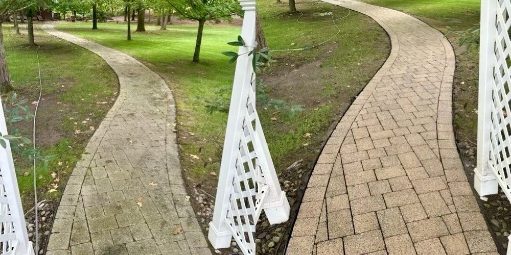 Paver walkway before and after cleaning