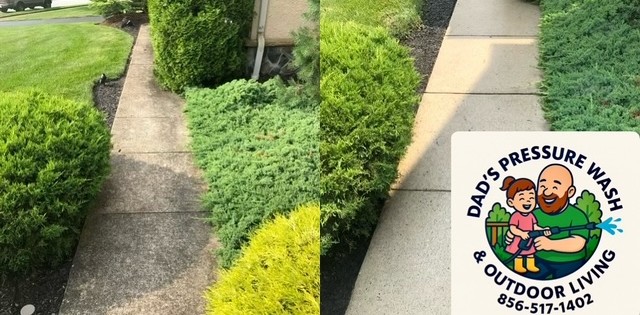 Concrete walkway before and after pressure washing